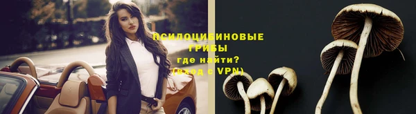 Альфа ПВП Майский