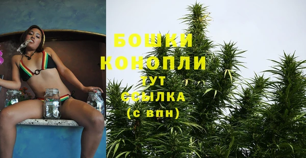 Альфа ПВП Майский